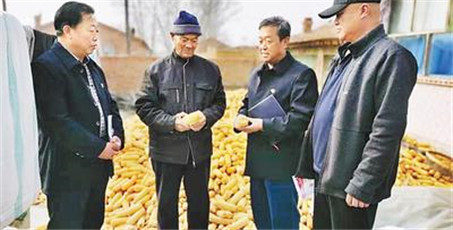 �����ϰ��յ�������